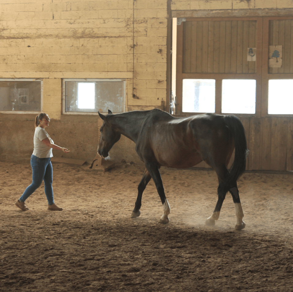 a woman leading a horse inside of a barn